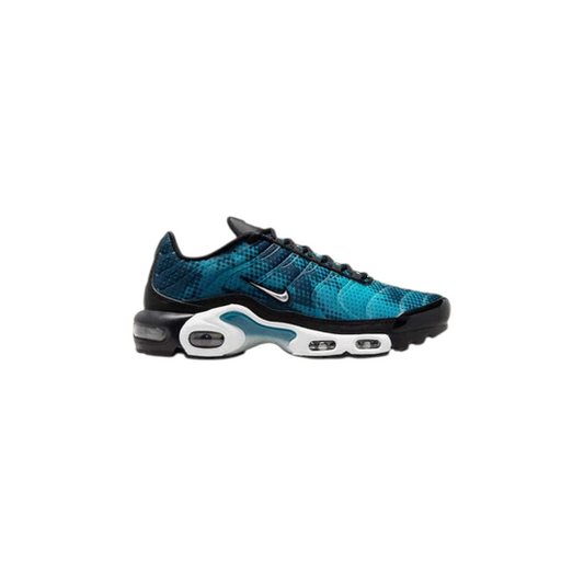 Chaussures Air Max TN Bleu et Noir